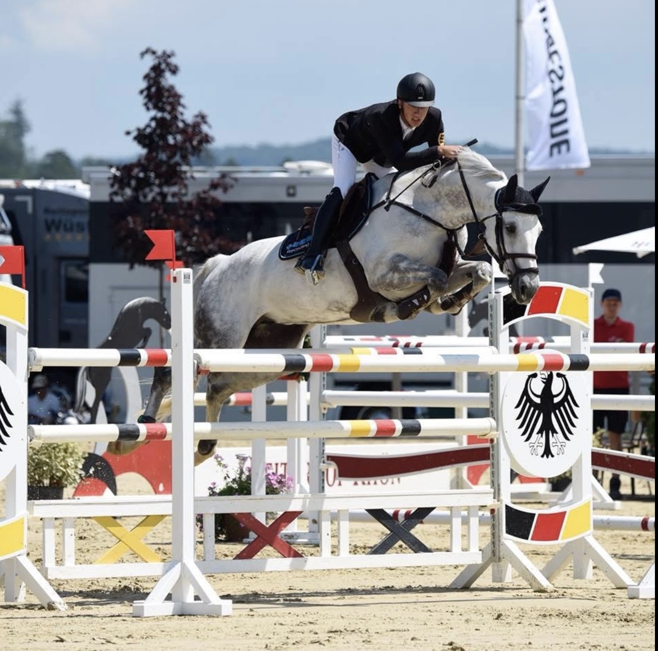 Springreiten im Parcours